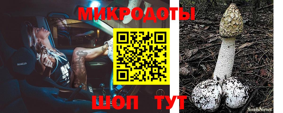 Псилоцибиновые грибы мицелий Чайковский