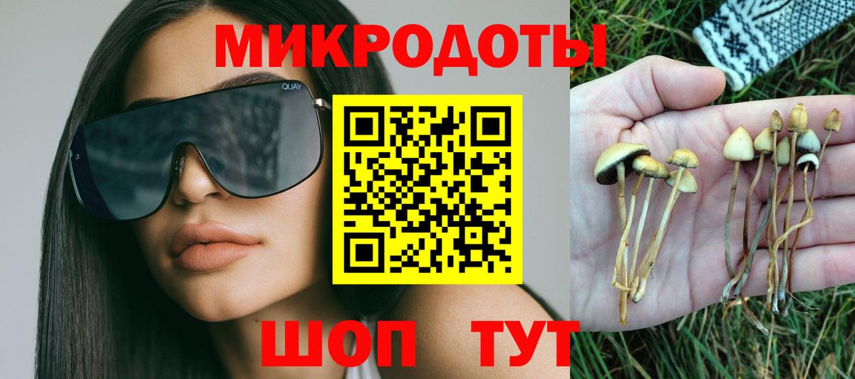 Псилоцибиновые грибы Magic Shrooms Чайковский